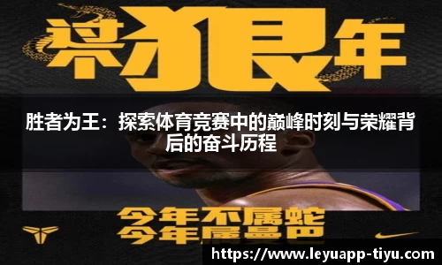 胜者为王：探索体育竞赛中的巅峰时刻与荣耀背后的奋斗历程